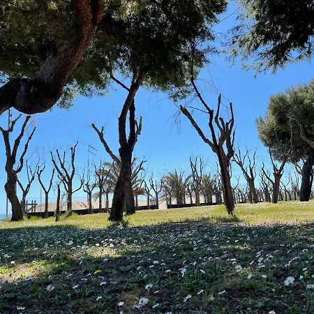 Attractive In With Garden * Cupra Marittima
